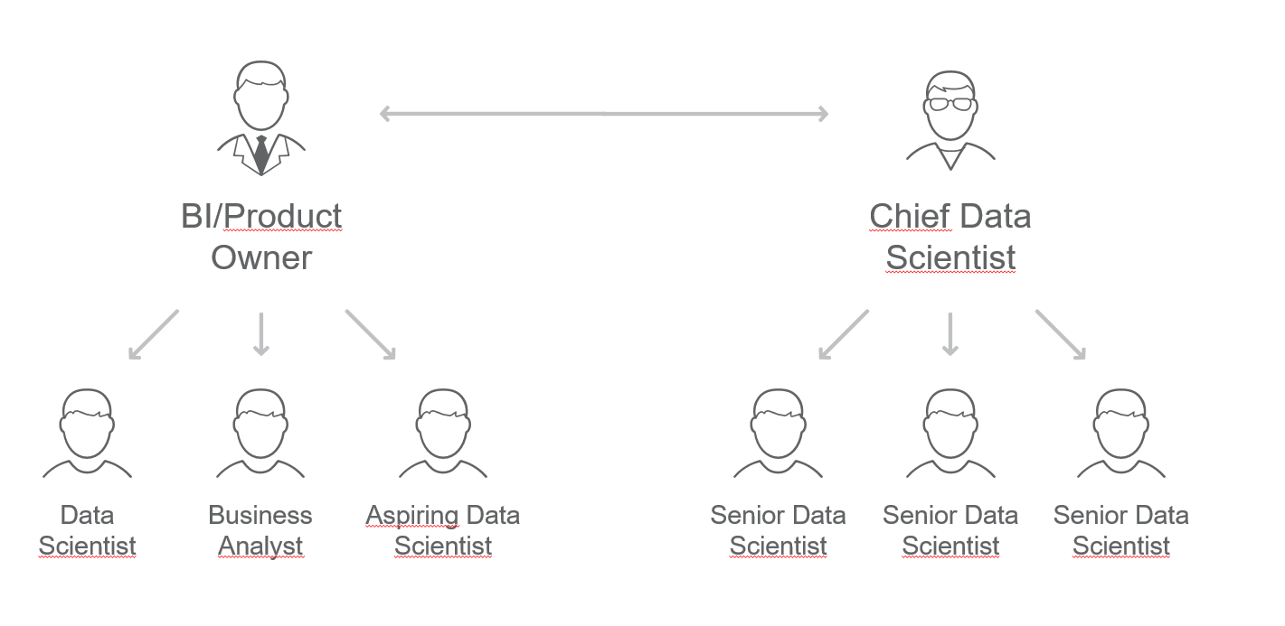 Data science team structure